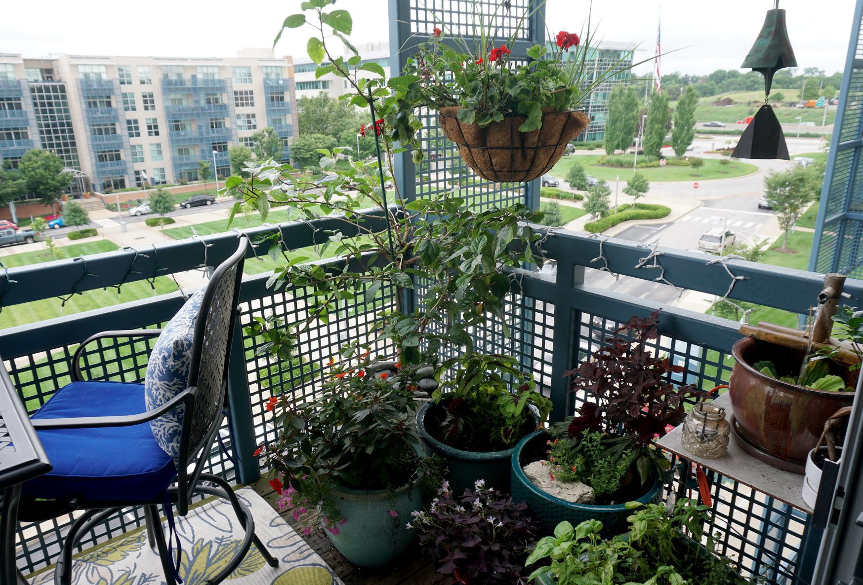 At home in west St. Louis city